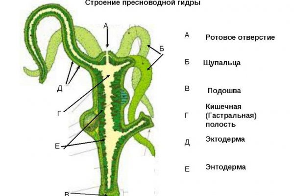 Кракен магазин v5tor cfd